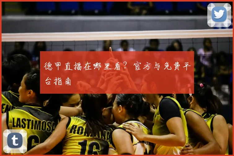 德甲直播在哪里看？官方与免费平台指南