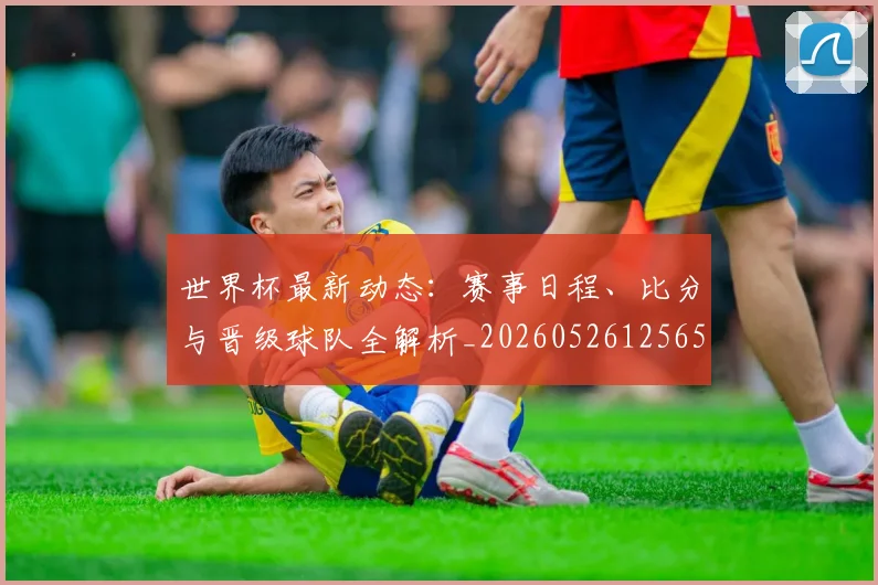 世界杯最新动态：赛事日程、比分与晋级球队全解析_20260526125656